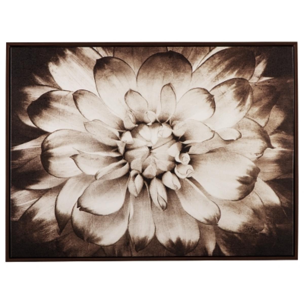Phiala Wall Art Outlet Home Decor 5