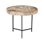 Riley Petrified Wood Accent Table