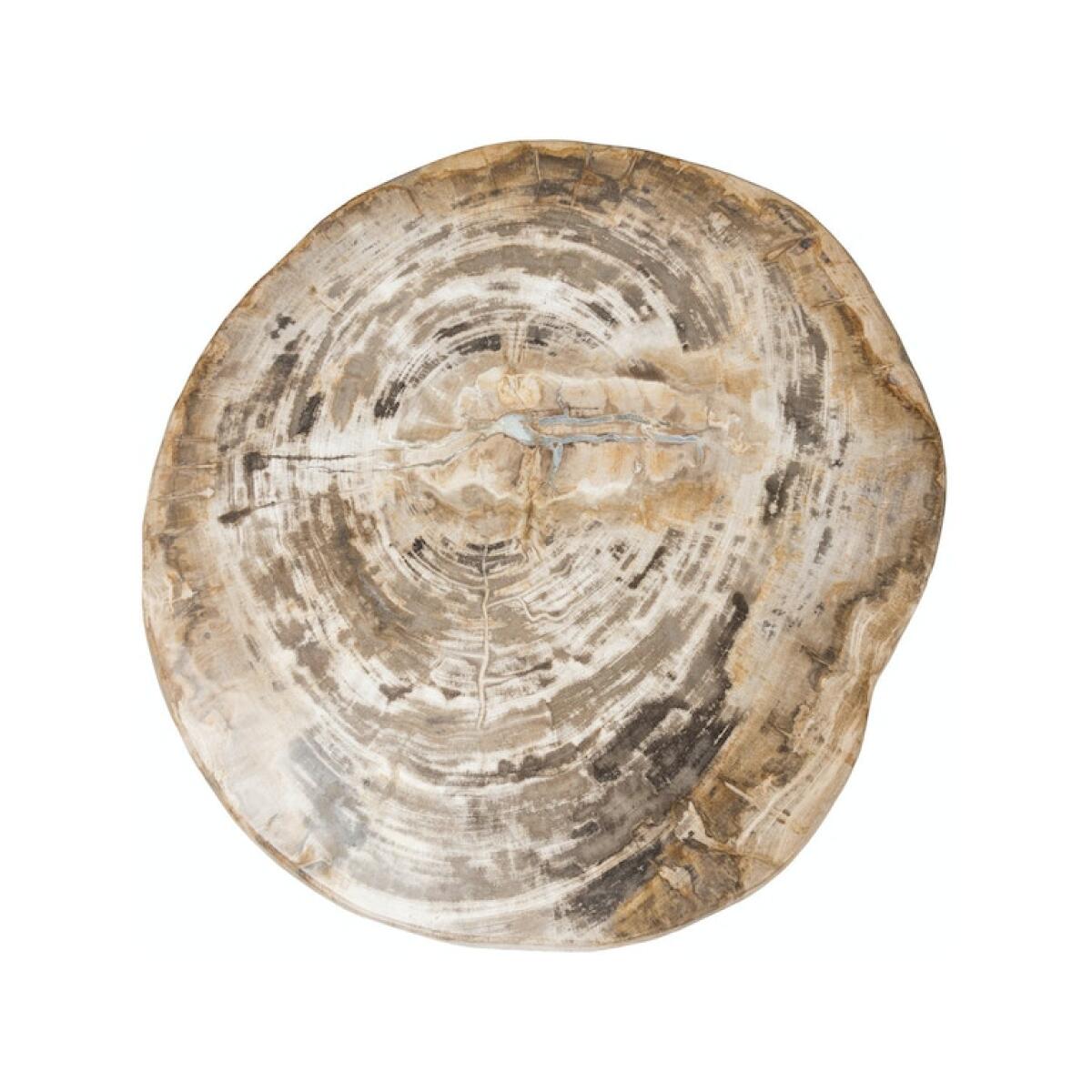 Riley Petrified Wood Accent Table Chairside Tables Classic Home 7