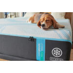 TEMPUR-LuxeBreeze Medium Hybrid Mattress California King California King 9