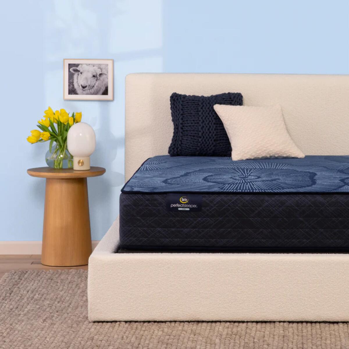 Serta Perfect Sleeper Dazzling Night Hybrid Firm Mattress California King California King 7