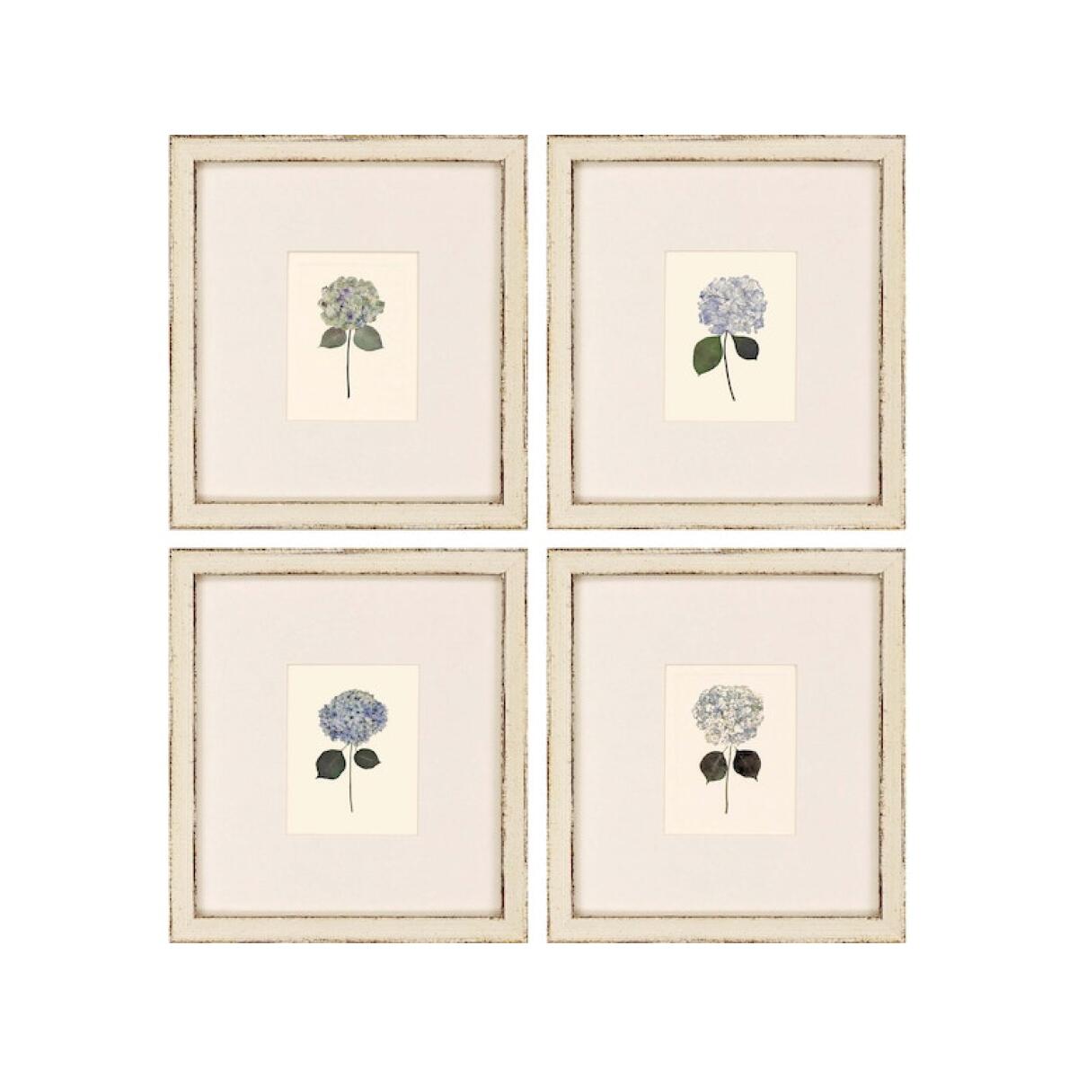 Hydrangea Minis S/4 Art Paragon 4
