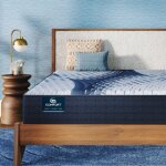 Serta iComfort Elana Firm California King Back Sleeper 9