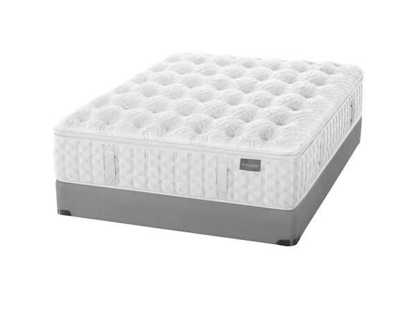 Timeless Odyssey Pacific Palisades Euro Pillowtop Plush Plush Aireloom