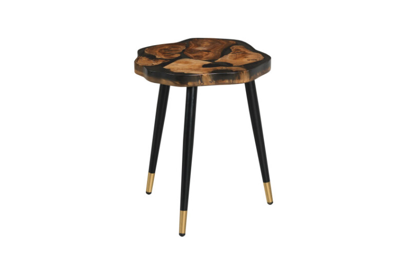 Hidden Treasures Acrylic Root Accent Table