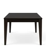 Rectangular Dining Table Dining Tables black 20