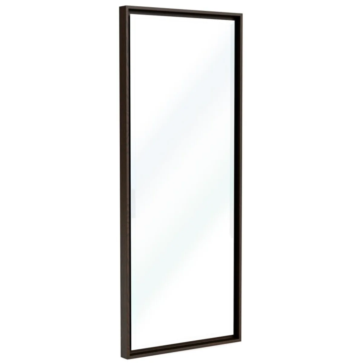 Accent Mirror Bedroom Mirrors black 12