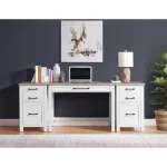 File Cabinet Office Storage Cloud/fog 21