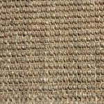 Seagrass 2.6'x5' - Image 4