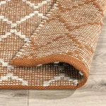 Indoor/outdoor Sonora Terracotta/ivory 2.6’x8′ Rugs Classic Home 16