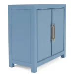 2-door Accent Chest Chests blue 17