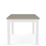 Rect Leg Dining Table Dining Tables Cloud/fog 22