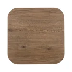 Vander Solid Wood Square End Table End tables Brown 16