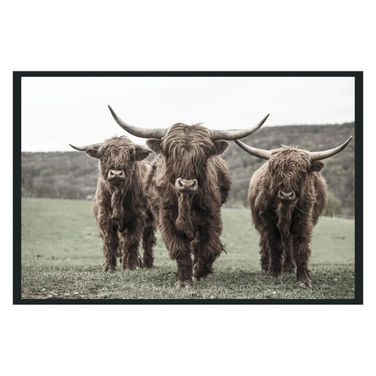 Highland Photography 48×72 Art Art 4