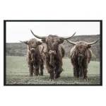 Highland Photography 48×72 Art Art 7