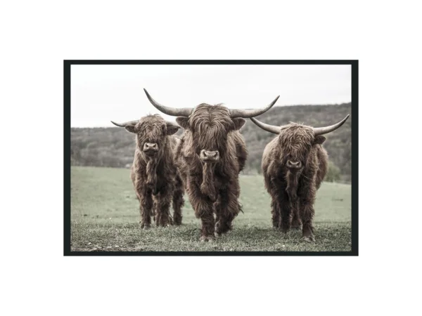 Guide Painting 48×72 By Buddy Whitlock Art Art 11 Guide Painting 48×72 By Buddy Whitlock Art Art 11