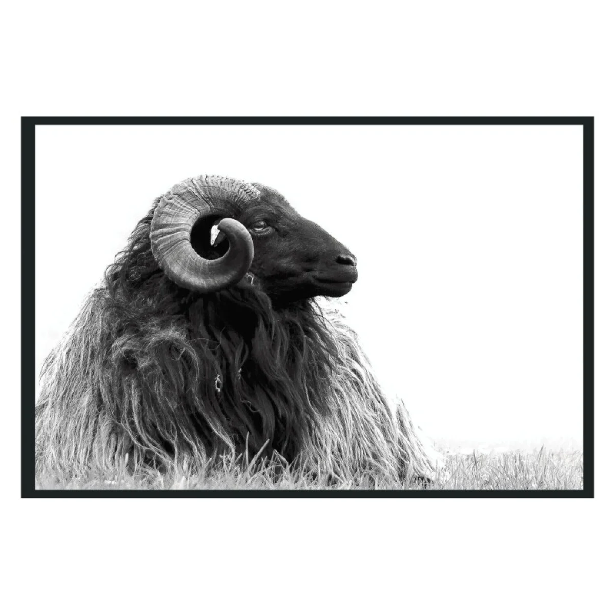 Horn Photography 48×72 Art Art 4