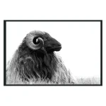 Horn Photography 48×72 Art Art 7