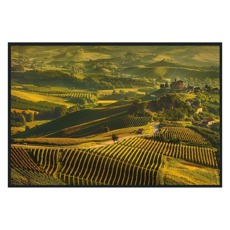 Vinyard Photography 48x72