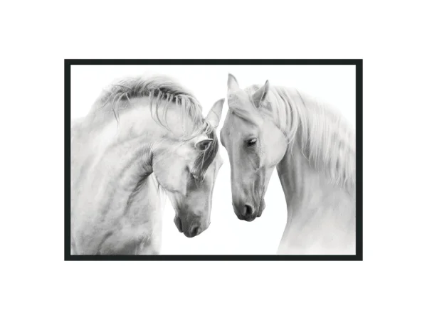 Zebras Photography 48×72 Art Art 10 Zebras Photography 48×72 Art Art 10