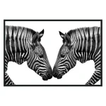 Zebras Photography 48×72 Art Art 7