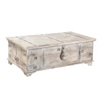 Alta Trunk Coffee Table