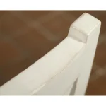 Xx-bak Side Chair 2in Chairs & Benches Chairs & Benches 29