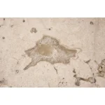 Round End Table End tables Alabaster Travertine 21