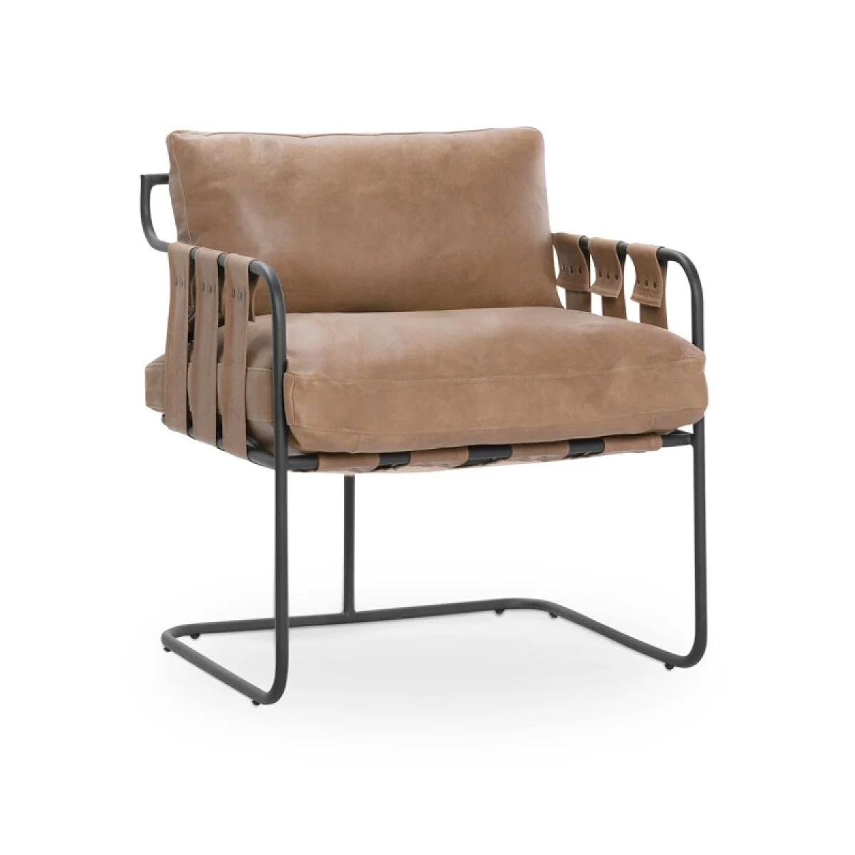 Toluca Leather Stationary Accent Chair Chairs Chairs 4