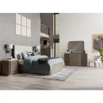 Sariel Queen Upholstered Bed Beds Beds 31