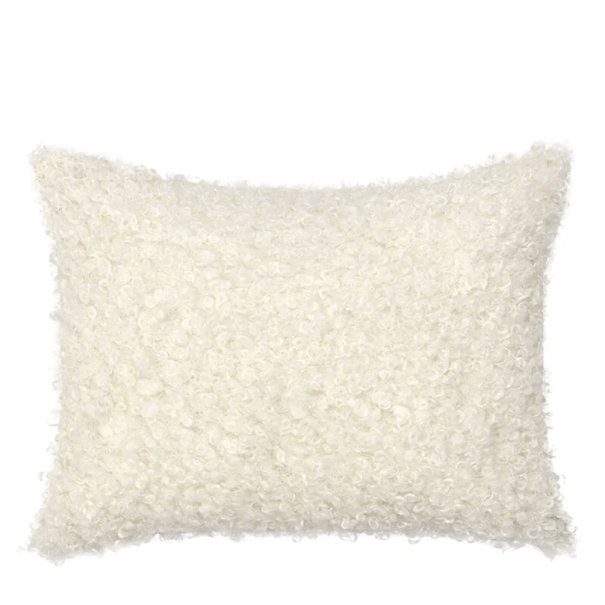 Rn Carters Ivory Accent Pillows Accent Pillows 4