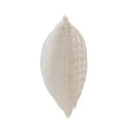 Eq Ion Multiple Sizes Accent Pillows Accent Pillows 17 Eq Ion Multiple Sizes Accent Pillows Accent Pillows 17