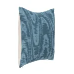 Nv Hildene 22×22 Accent Pillows Accent Pillows 16