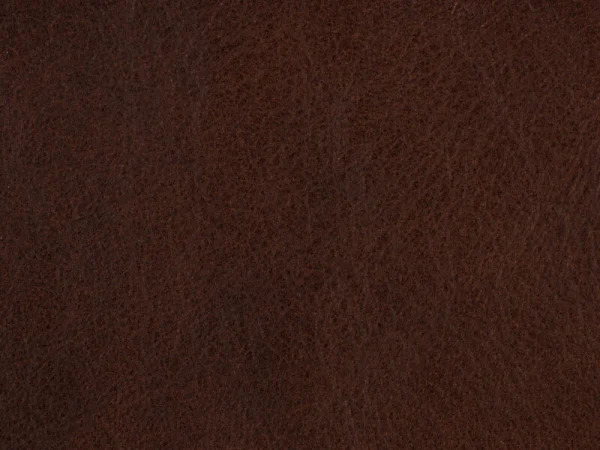 Sasha Executive Swivel Tilt Chair - Image 3