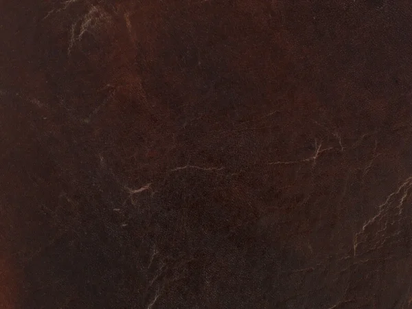 SS Chester Stationary Sofa - Image 4