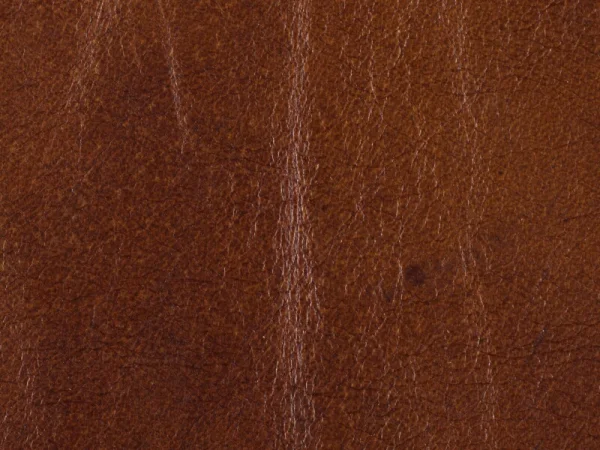 SS Exton Stationary Sofa - Image 3