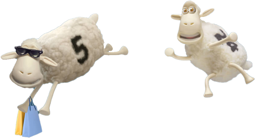 Sheep