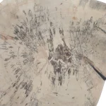 Teo Wood Wall Decor, Bleached S/3 - Image 8
