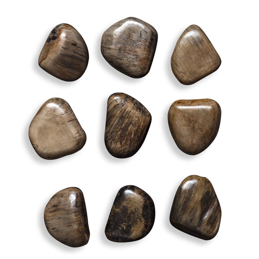 Pebbles Wood Wall Decor, Walnut, S/9