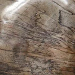Pebbles Wood Wall Decor, Walnut, S/9 - Image 3