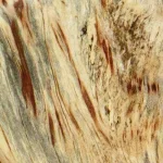 Pebbles Wood Wall Decor, Blonde, S/9 - Image 3