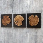 Kolini Wood Wall Decor, S/3 - Image 5