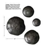 Lucky Coins Indoor-outdoor Metal Wall Decor, Nickel, S/4 - Image 10