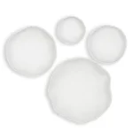 Lucky Coins Indoor-outdoor Metal Wall Decor, White, S/4