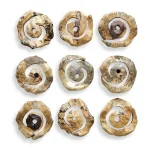 Corkscrew Wood Wall Decor, S/9 - Image 6