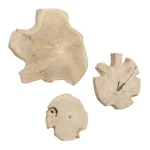 Kalani Indoor-outdoor Wall Decor, Bleached, S/3 - Image 4