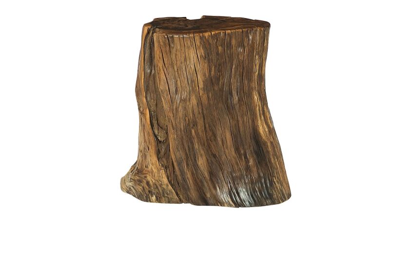 Hidden Treasures Tree Trunk Accent Table