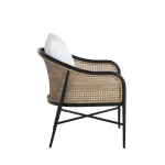 Havanacane N-dura Resin Wicker Outdoor Euro Lounge Chair - Image 3