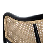 Havanacane N-dura Resin Wicker Outdoor Euro Lounge Chair - Image 10