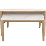 Palma Aluminum Rectangle Outdoor Nesting Coffee Table 47 In. W X 15 In. H - Image 5